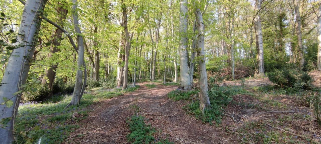 Gites 4,6 Personnes Fecamp Etretat Colleville 外观 照片